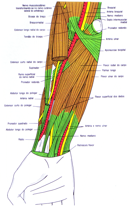 fig09-46.gif