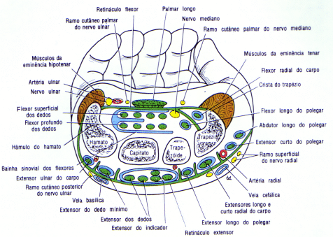 fig09-51.gif