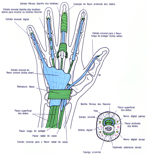 fig09-53.gif