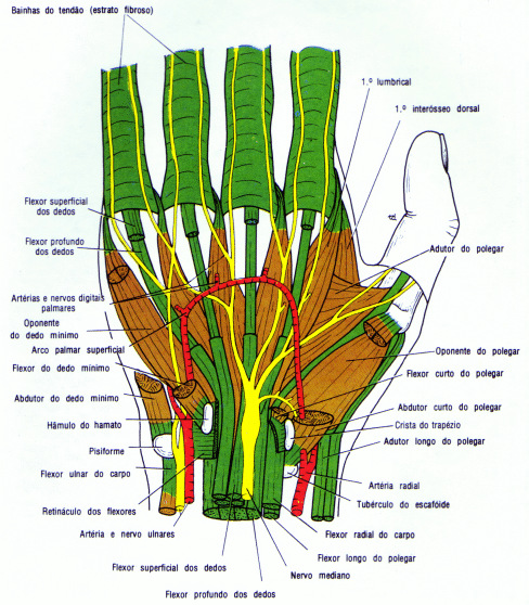 fig09-55.gif