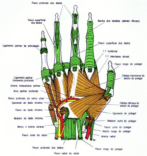 fig09-56.gif