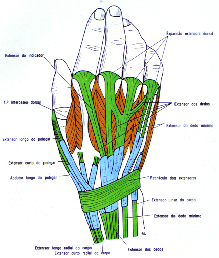 fig09-60.gif