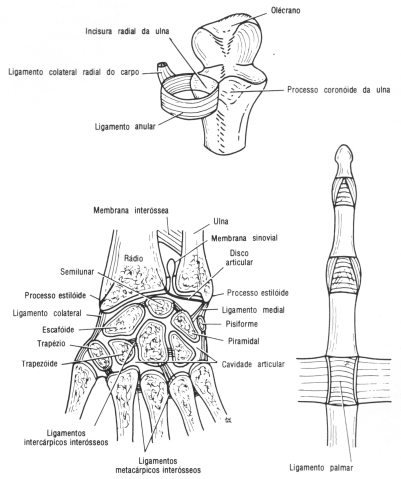 fig09-62.gif