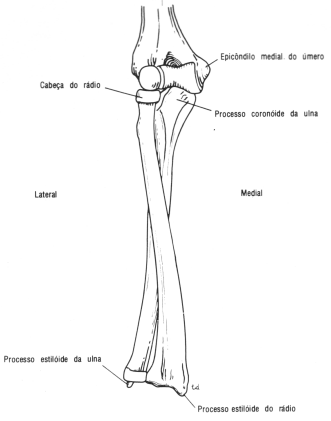 fig09-63.gif