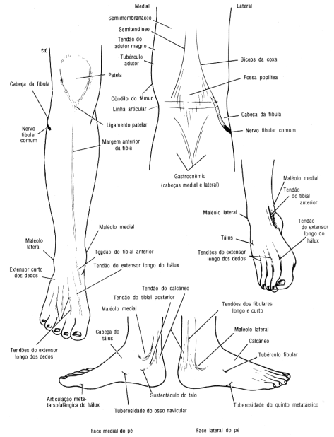 fig10-05.gif