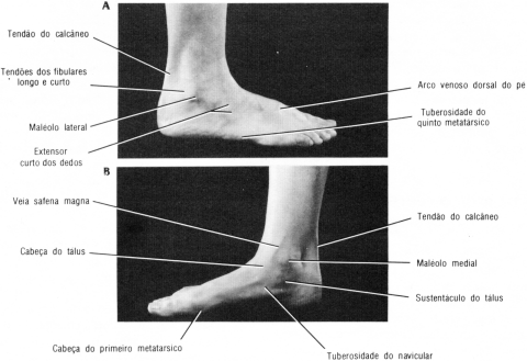 fig10-06.gif