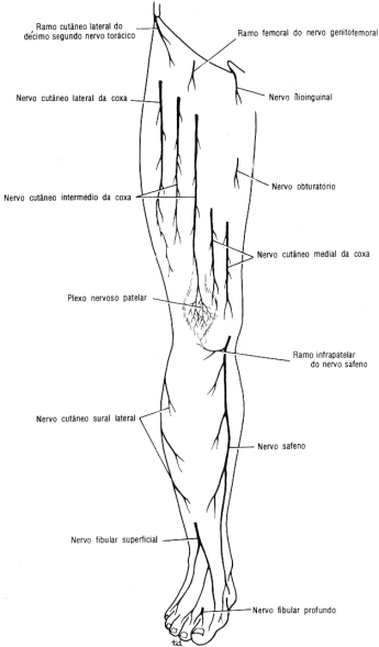 fig10-08.gif