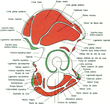 fig10-11.gif