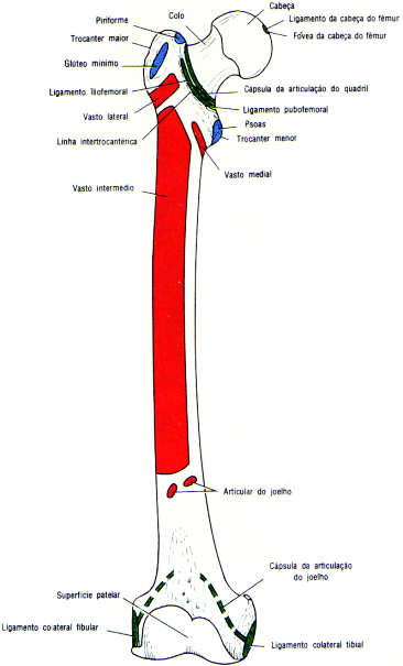 fig10-13.gif