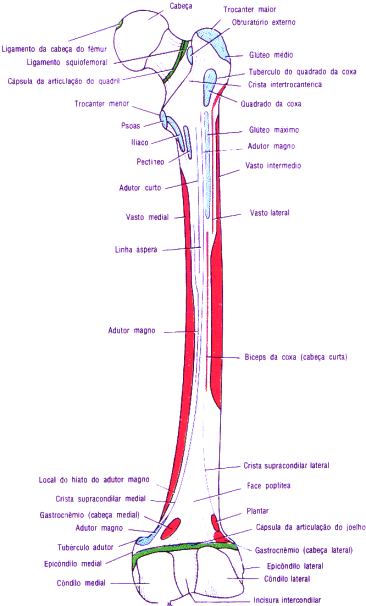 fig10-14.gif