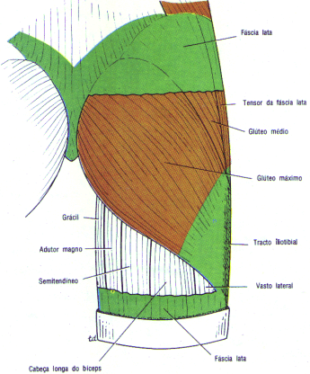 fig10-15.gif