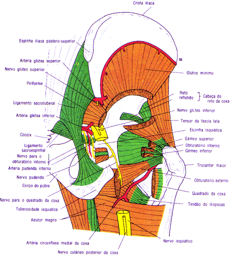 fig10-17.gif