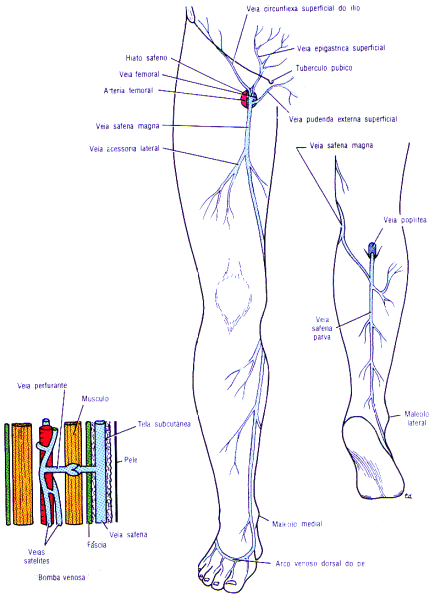 fig10-18.gif