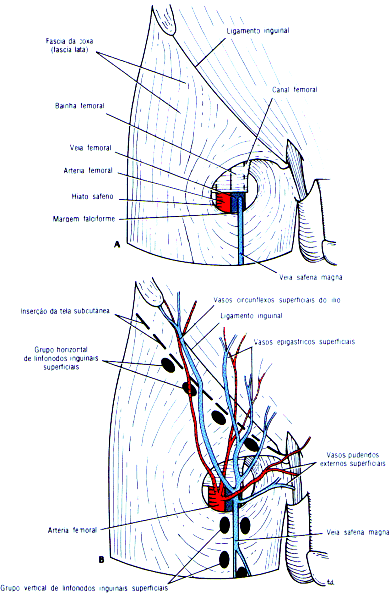 fig10-19.gif