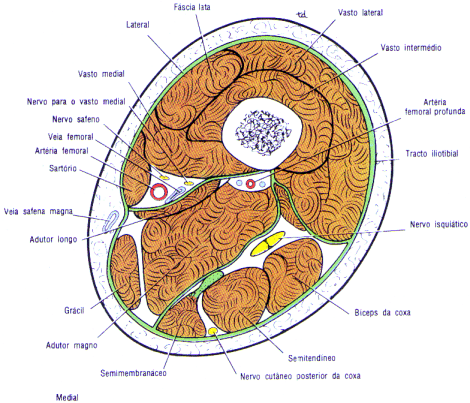 fig10-20.gif