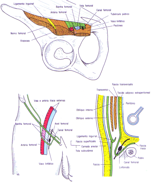 fig10-22.gif