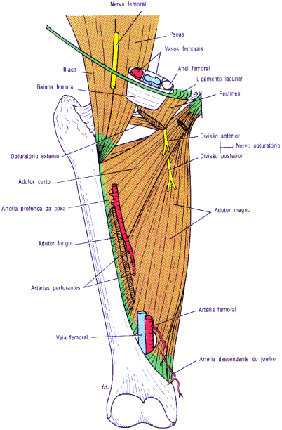 fig10-23.gif