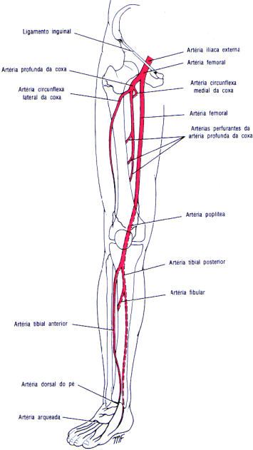 fig10-24.gif