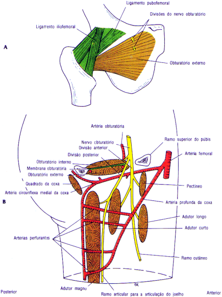 fig10-25.gif