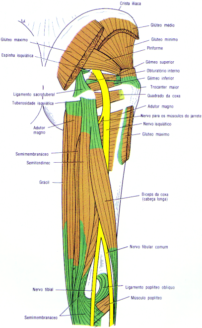 fig10-26.gif