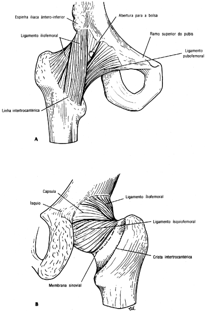 fig10-29.gif