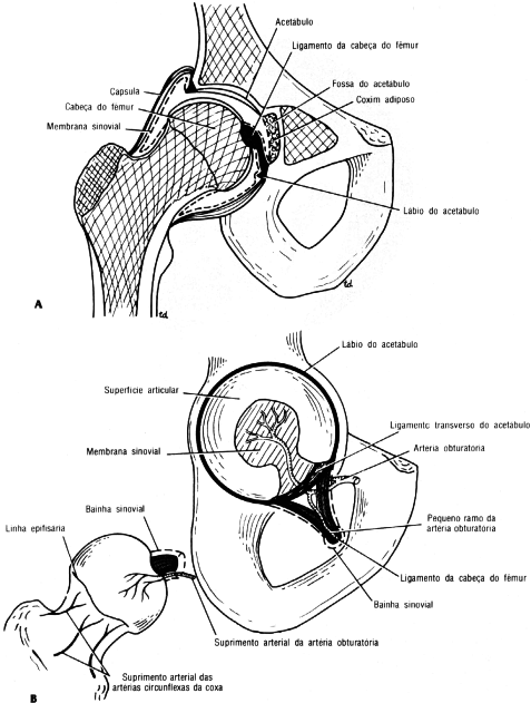 fig10-30.gif