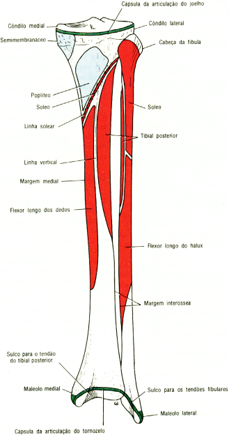 fig10-33.gif