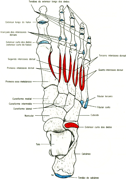 fig10-35.gif