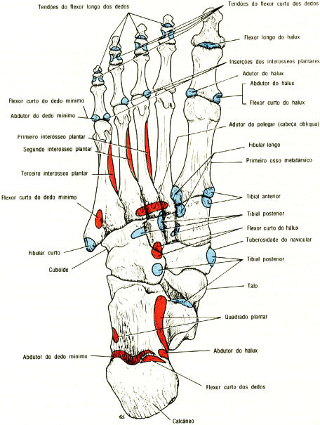 fig10-36.gif