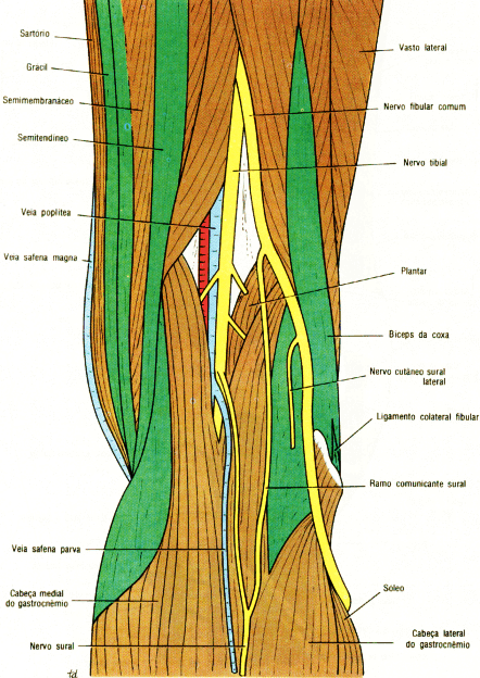 fig10-37.gif