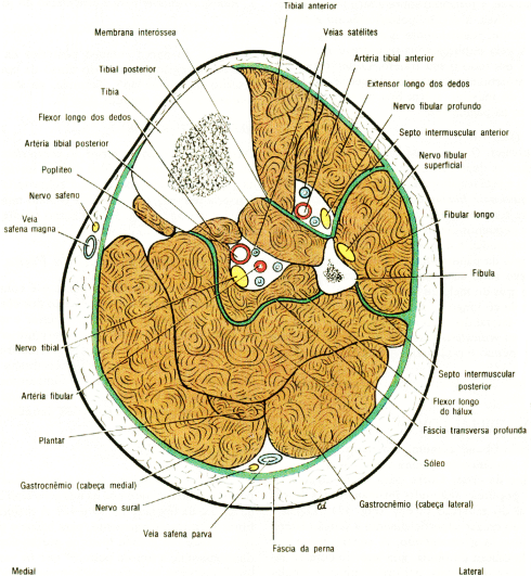 fig10-39.gif