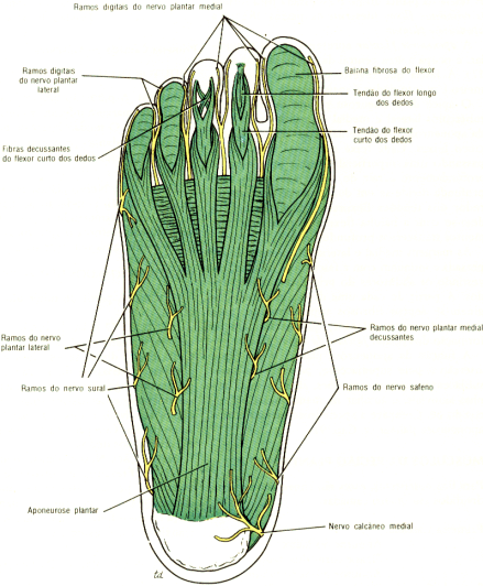 fig10-47.gif