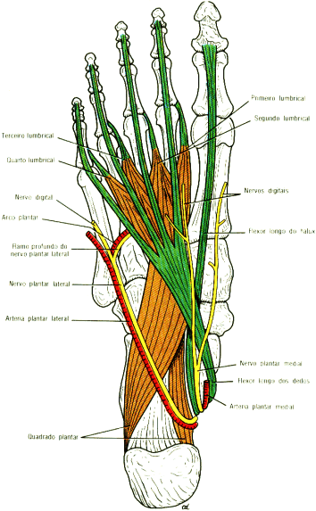 fig10-49.gif