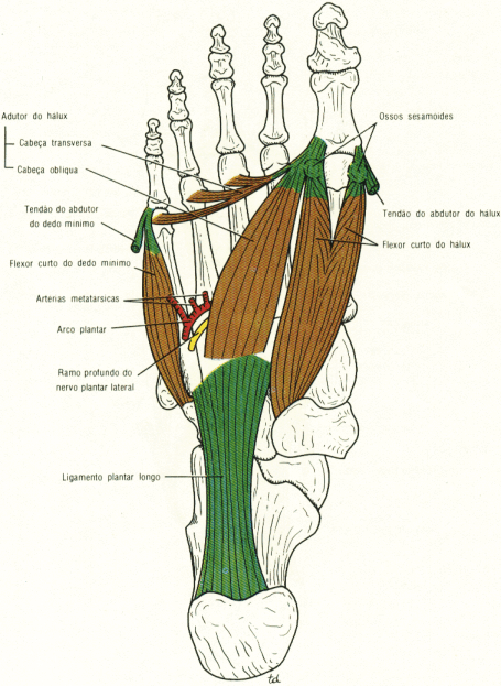 fig10-51.gif