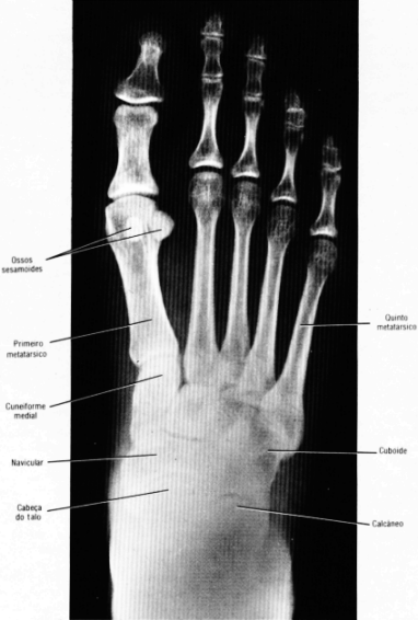 fig10-66.gif