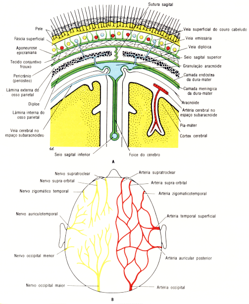 fig11-20.gif