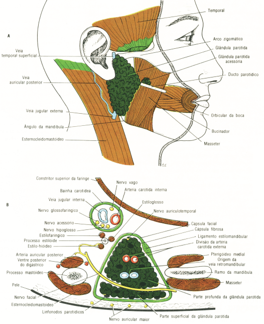 fig11-26.gif