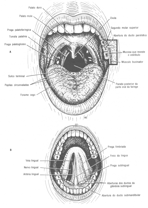 fig11-57.gif