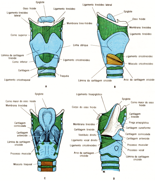 fig11-64.gif
