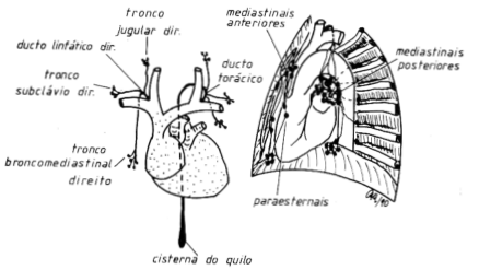 fig05-11.gif