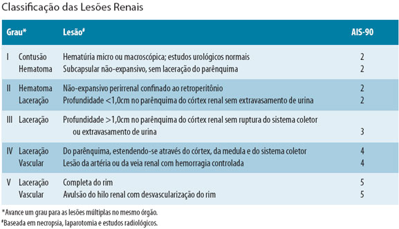 ﻿Classificação das Lesões Renais