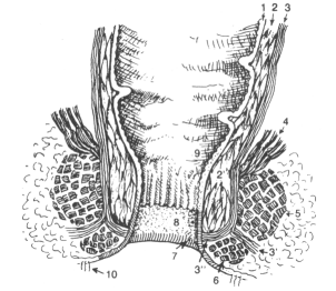 fig01-1.gif