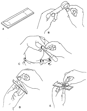 q01-1.gif (26599 bytes)