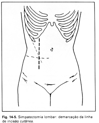 Fig01-1.GIF (3398 bytes)
