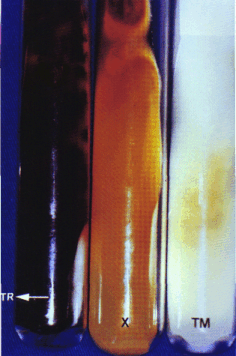 Fig01.gif (186172 bytes)