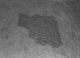 fig01-2.gif