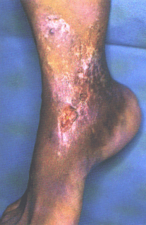 fig01-09.gif