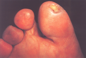 fig01-27.gif