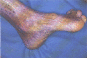 fig03-03.gif
