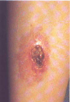 fig04-03.gif